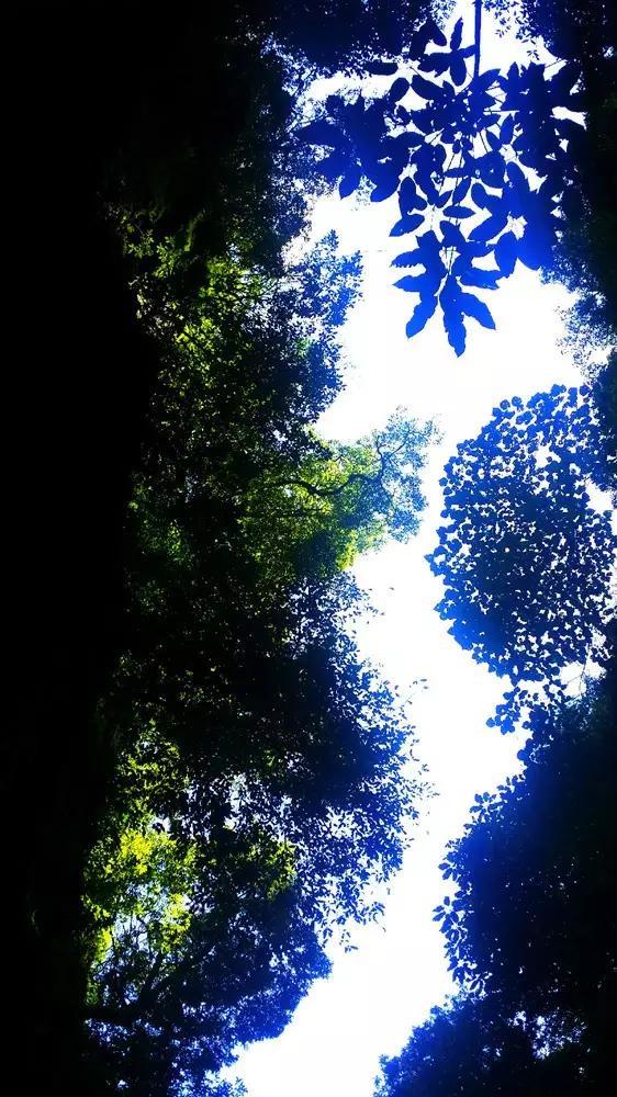 杭州现实版樊胜美引热议,遇上贪得无厌的原生家庭怎么办?-专业有问必答平台